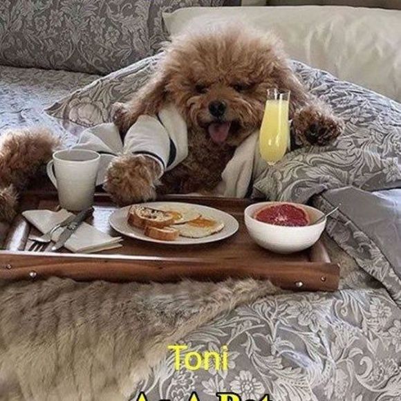 tonijohnson107